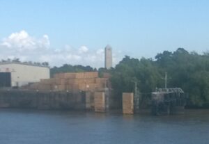 The Battle of New Orleans monument. It's buried way back in there.